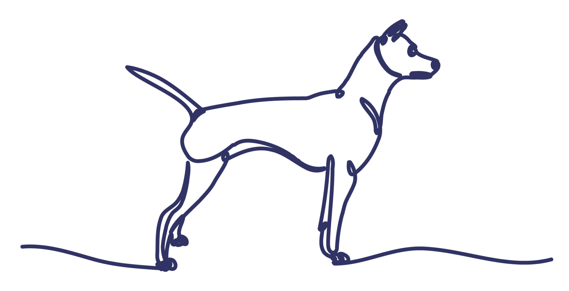 Field Trials and Gundog Clubs